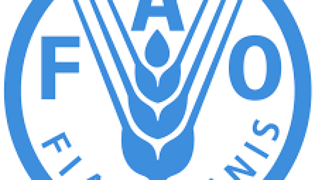 Deputy Regional Representative Vacancy-Job Ref: BJCLFAO/2006/2025816